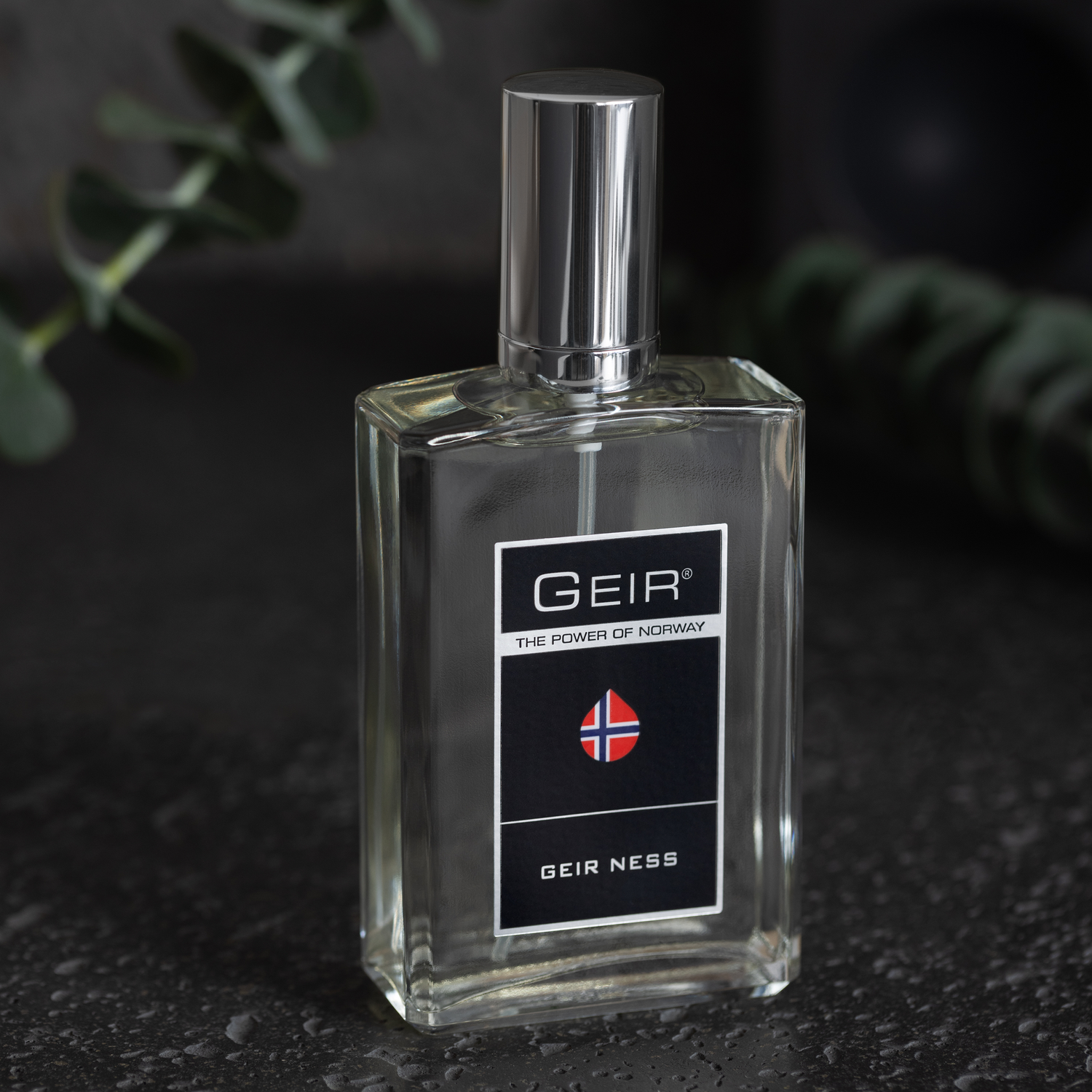 Geir for Men eau de Parfum 100 ml