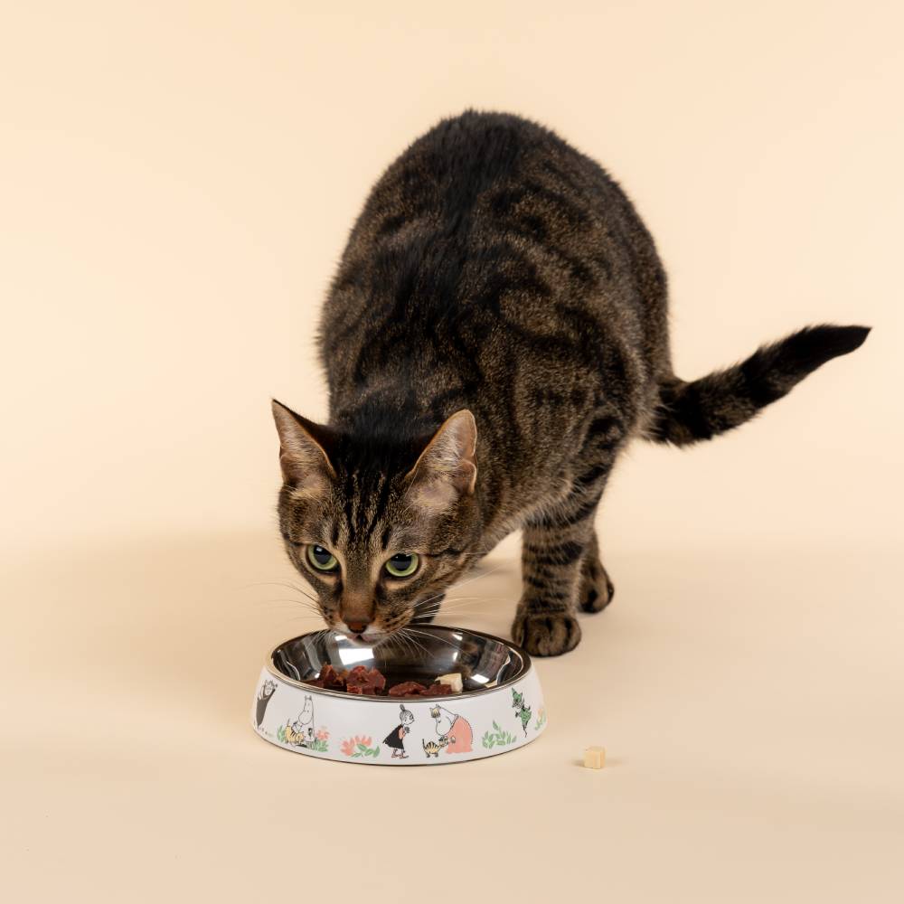 Katteskål Hvit - Mummi