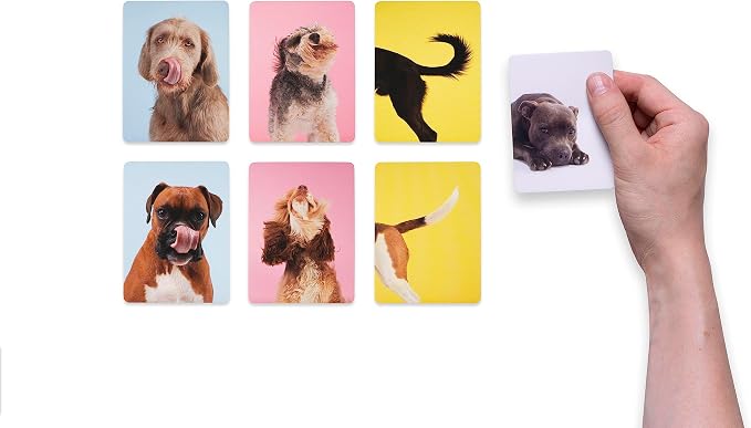 Spill Teach Yourself Dog: A Memory Game