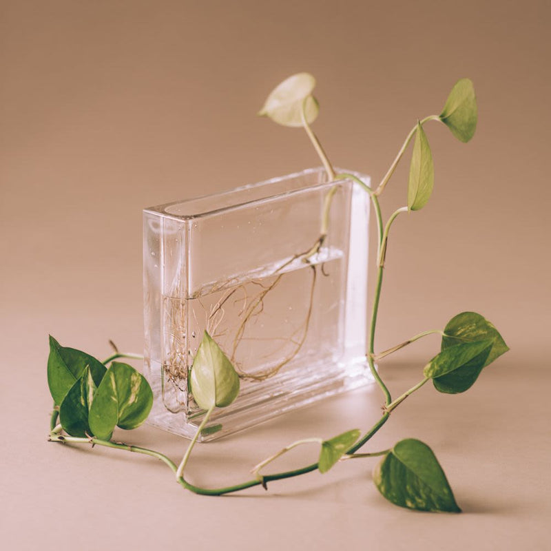 Monoblokk Vase Klar