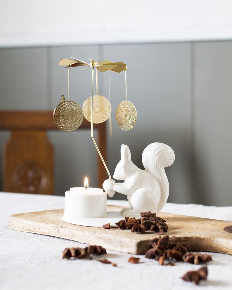 Winter Stories Telysestake Squirrel